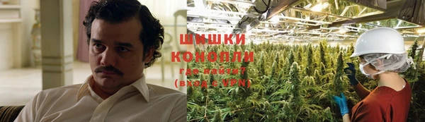 ECSTASY Костерёво