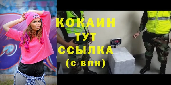 круглые Корсаков