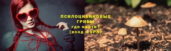МДПВ Коряжма