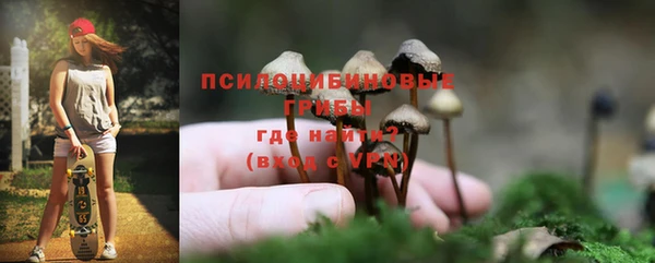 синтетический гашиш Козловка