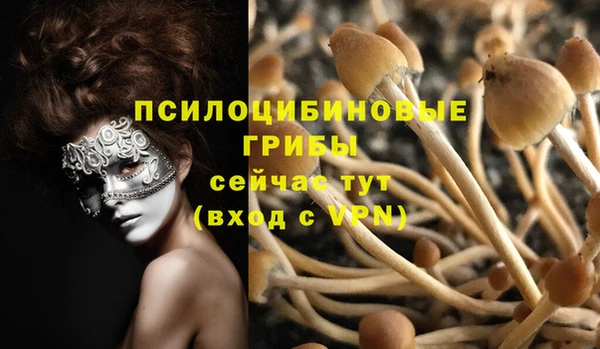меф Козельск
