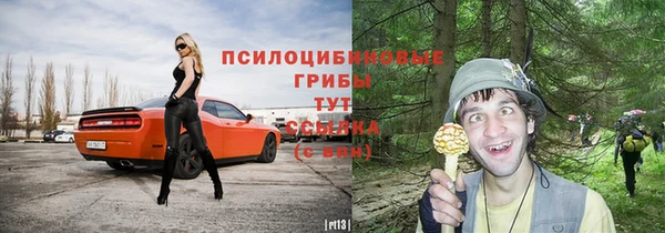 меф Козельск