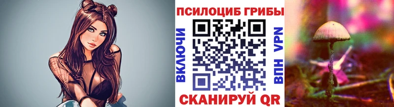 где купить   Малгобек  Псилоцибиновые грибы прущие грибы 